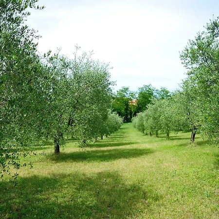 Agriturismo al Colle-3